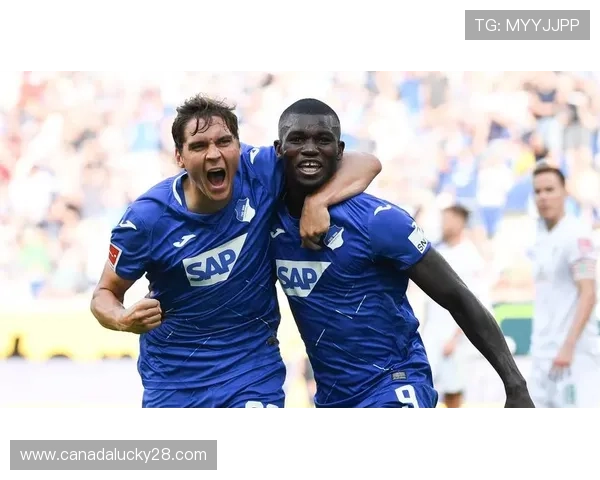 霍芬海姆主场优势明显 数据支持其赢得本场比赛 霍芬海姆主场优势明显 数据支持其赢得本场比赛